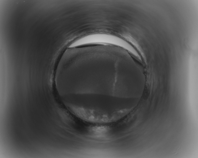 X0000088480063200705291636
