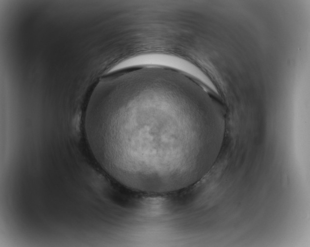 X0000088480066200705291636