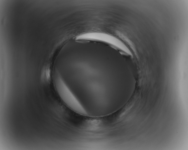 X0000088480067200705291636