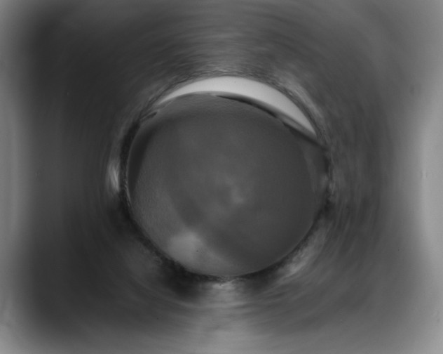 X0000088480068200705291636