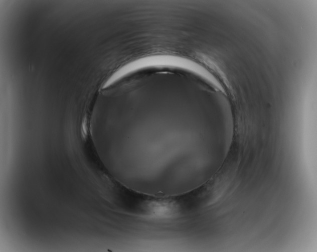 X0000088480069200705291636