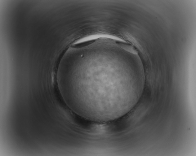 X0000088480071200705291636