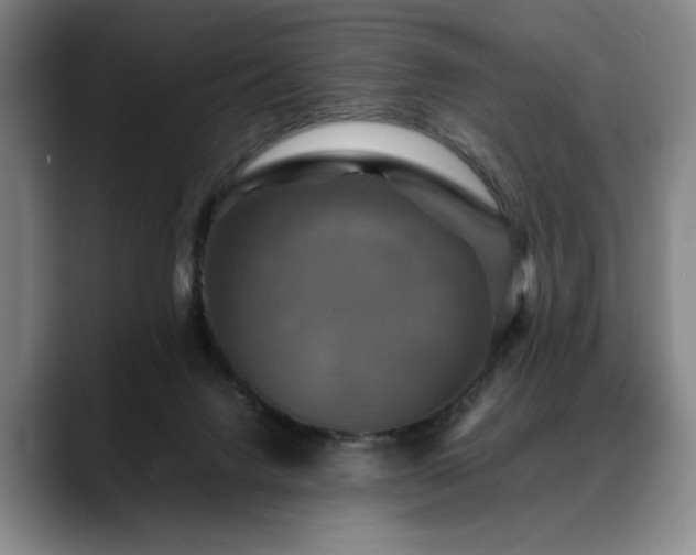 X0000088480072200705291636
