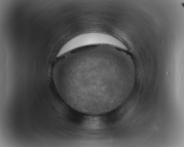 X0000088480073200705291636