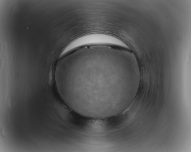 X0000088480074200705291636