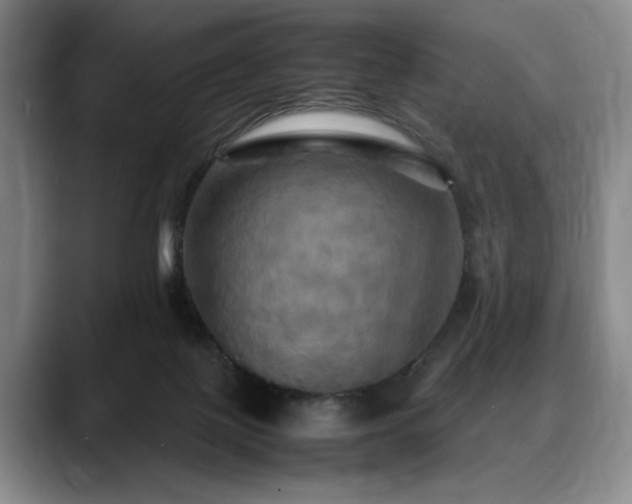 X0000088480075200705291636