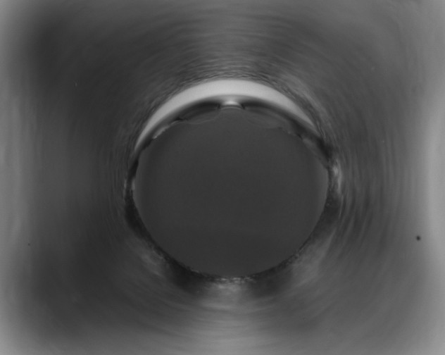 X0000088480076200705291636
