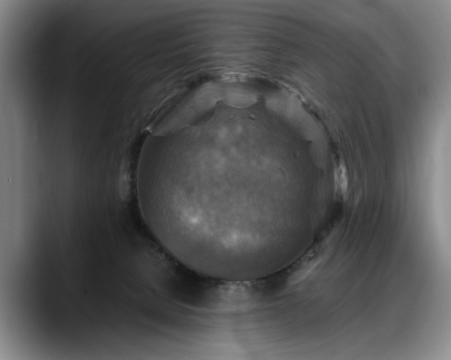 X0000088480080200705291636