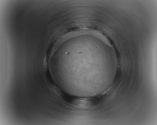 X0000088480086200705291636