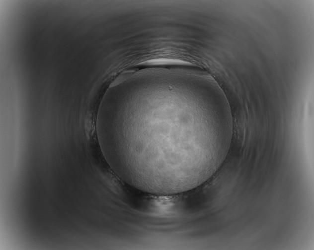 X0000088480091200705291636