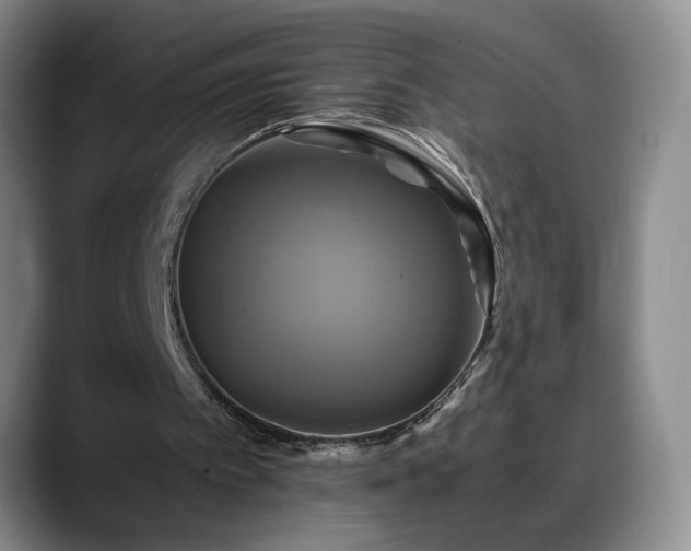 X0000088480097200705291635