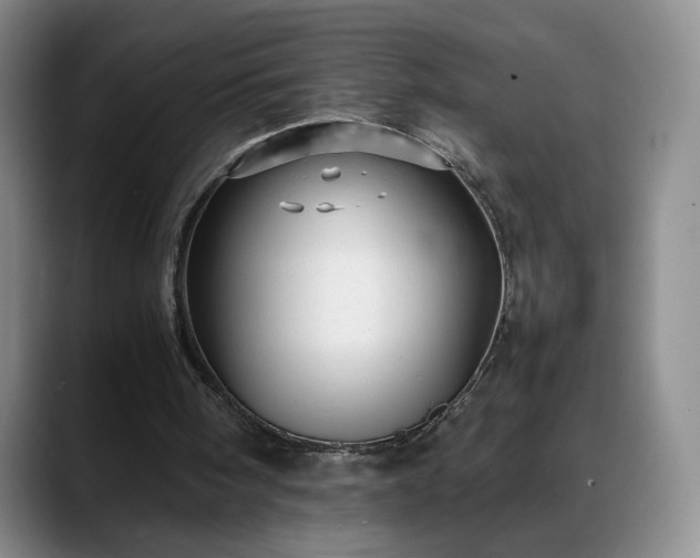 X0000088480098200705291635