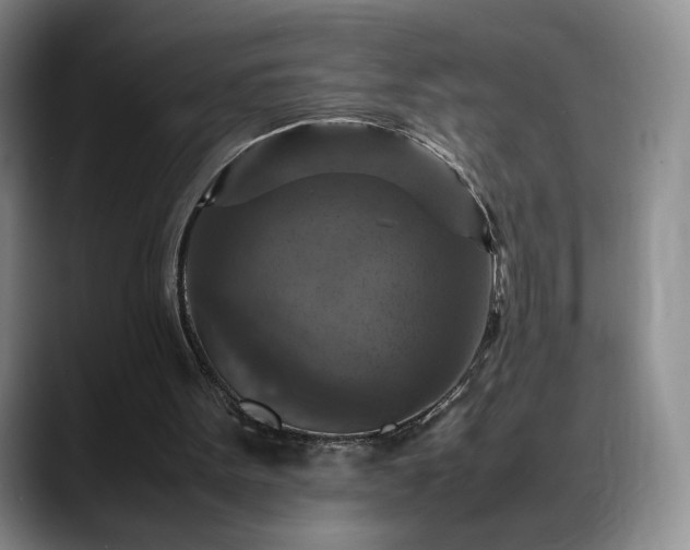 X0000088480099200705291635