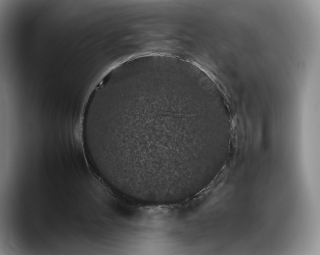 X0000088480100200705291635