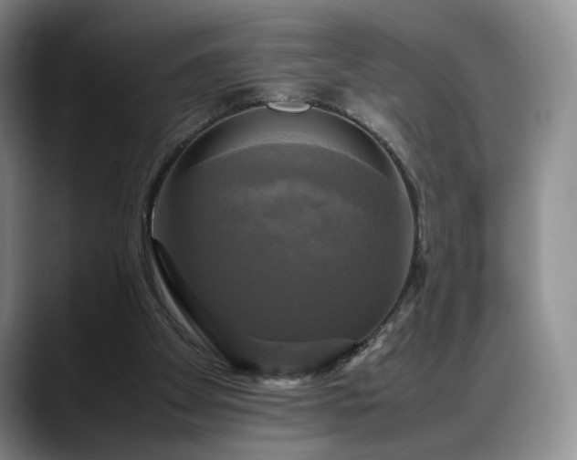 X0000088480105200705291635
