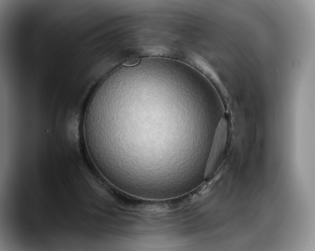 X0000088480106200705291635