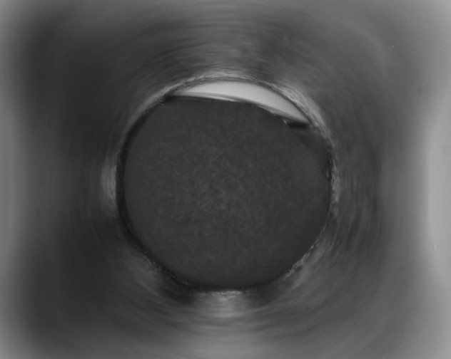 X0000088480108200705291635