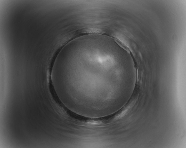 X0000088480109200705291635