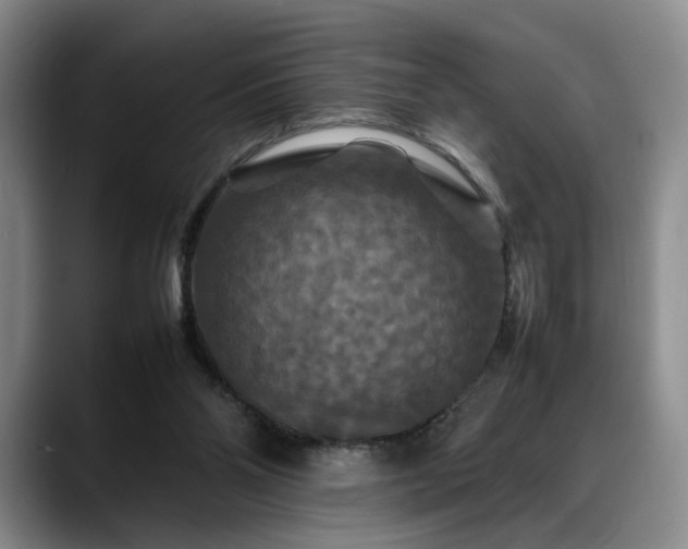 X0000088480110200705291635