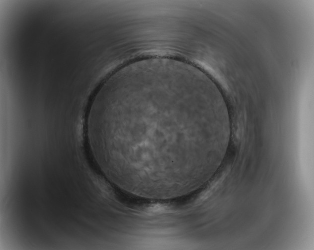 X0000088480111200705291635