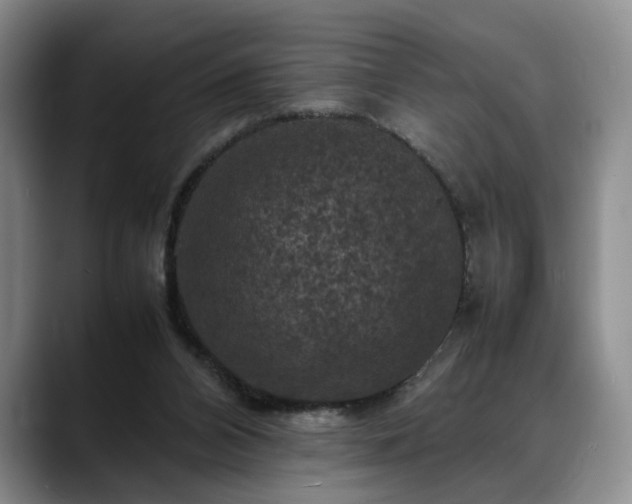 X0000088480112200705291635
