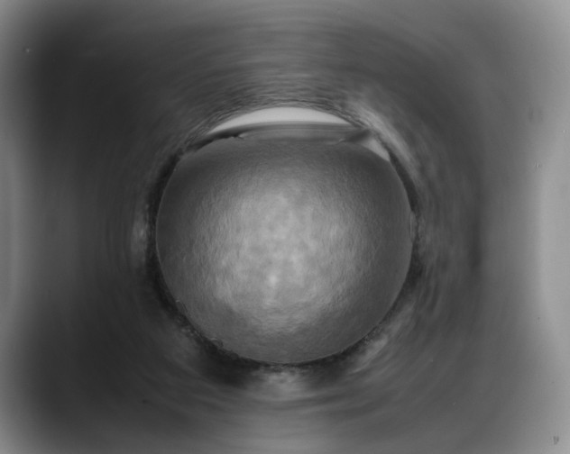 X0000088480113200705291635