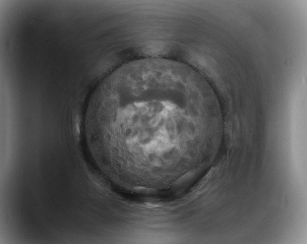 X0000088480115200705291635
