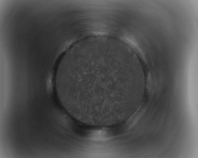 X0000088480116200705291635
