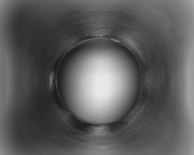 X0000088480118200705291635