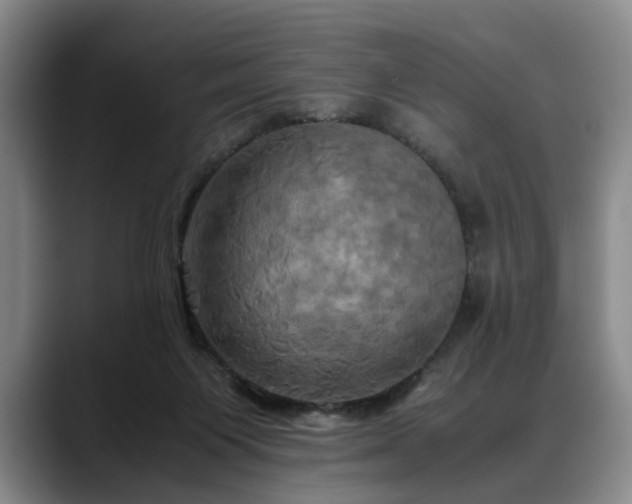 X0000088480119200705291635