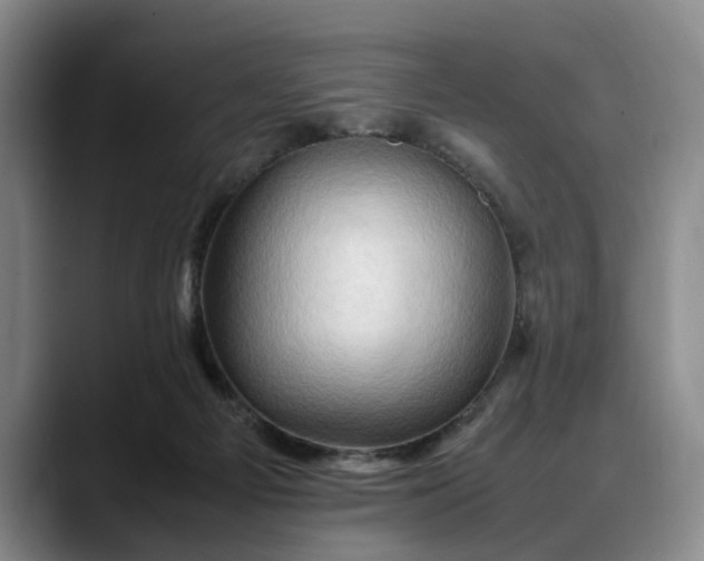 X0000088480121200705291635