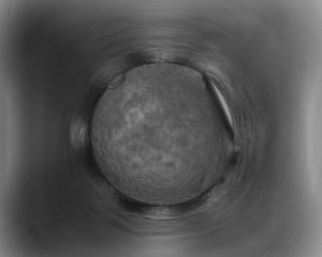 X0000088480123200705291635
