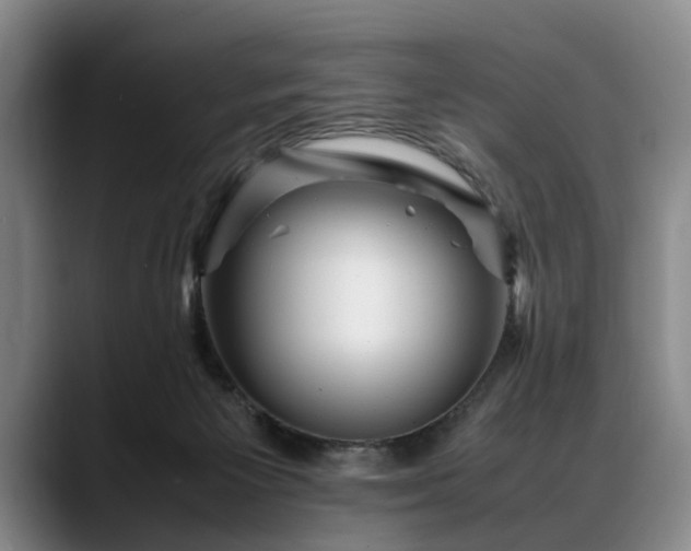 X0000088480125200705291635