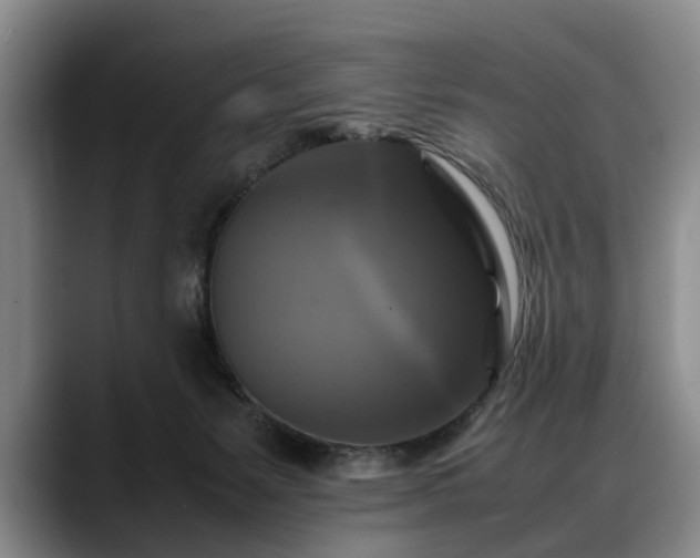 X0000088480127200705291635