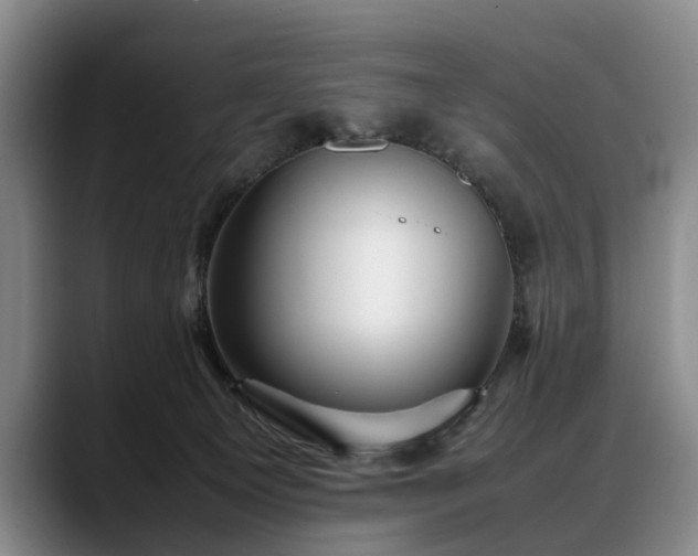 X0000088480129200705291635