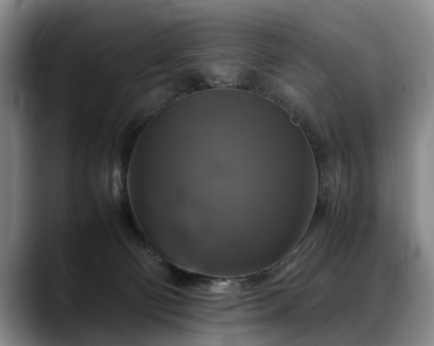X0000088480130200705291635