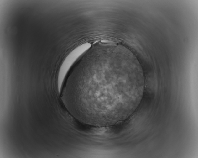 X0000088480131200705291635