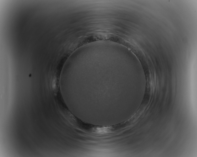 X0000088480134200705291635