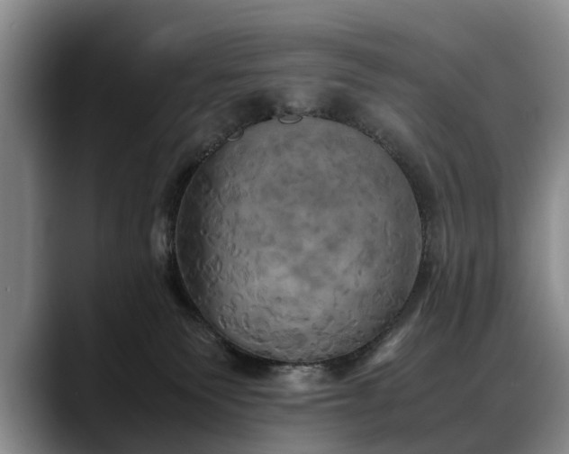 X0000088480135200705291635