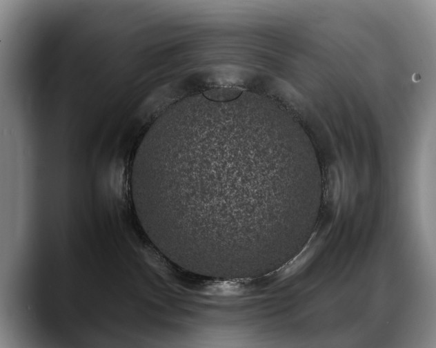 X0000088480140200705291635