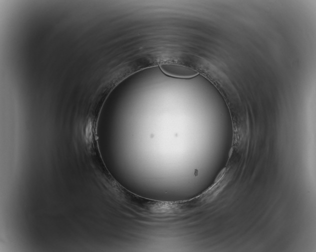 X0000088480142200705291635