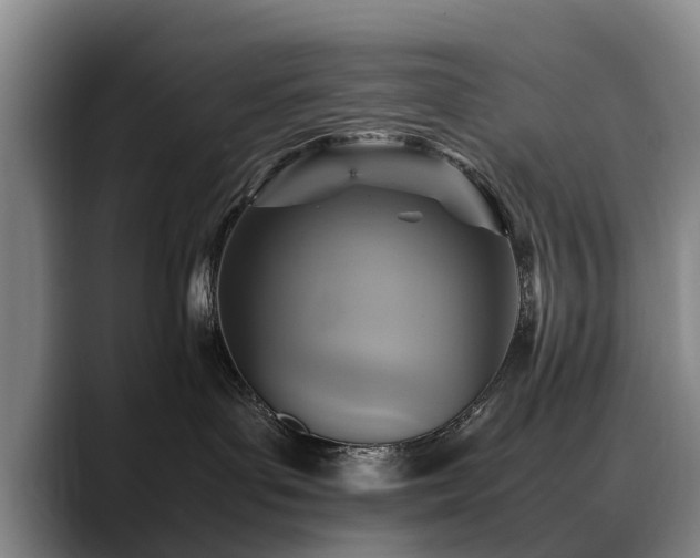 X0000088480143200705291635