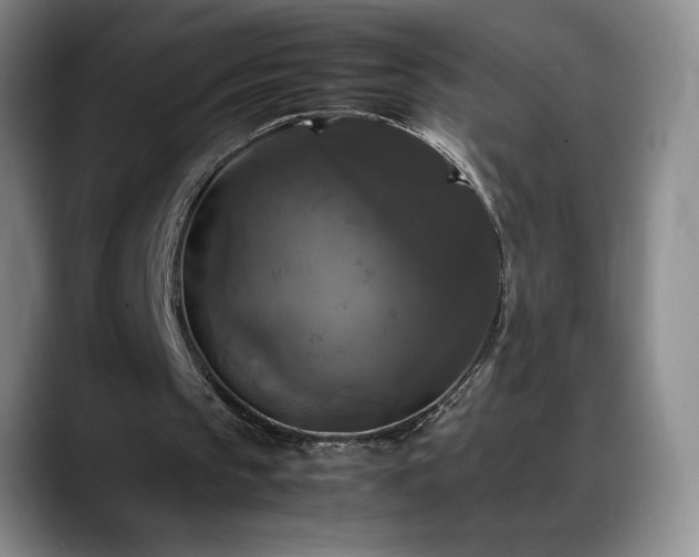 X0000088480145200705291634