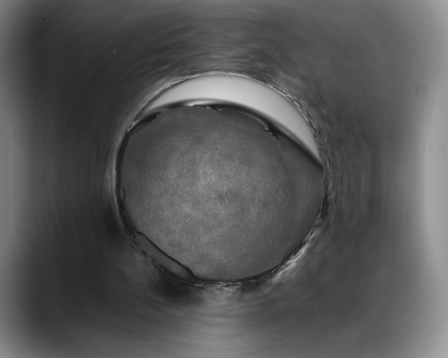 X0000088480148200705291634