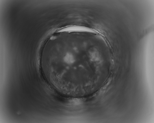 X0000088480149200705291634