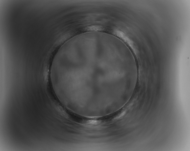 X0000088480153200705291634