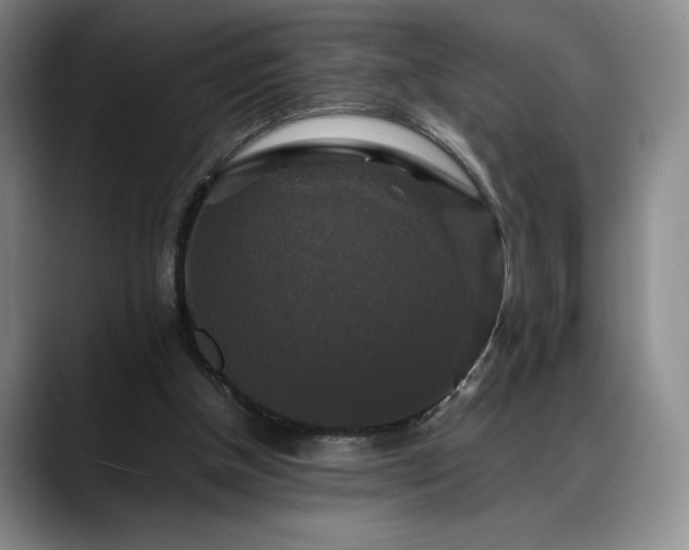 X0000088480154200705291634