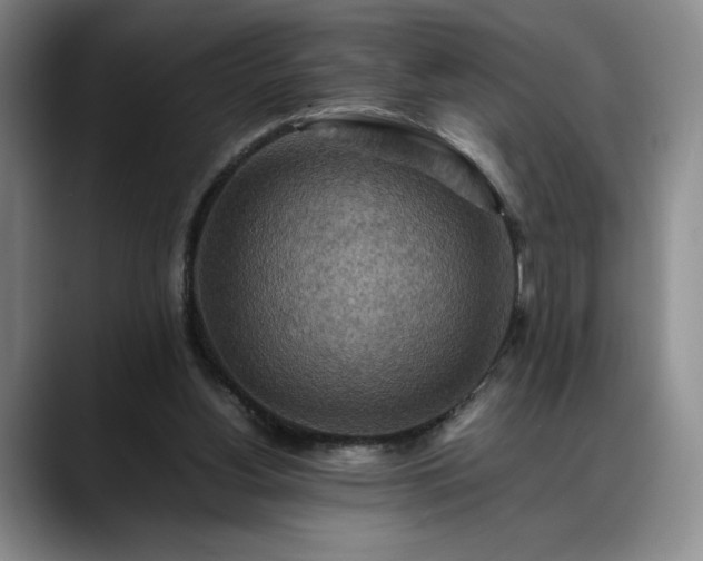 X0000088480156200705291634