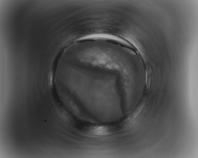 X0000088480157200705291634