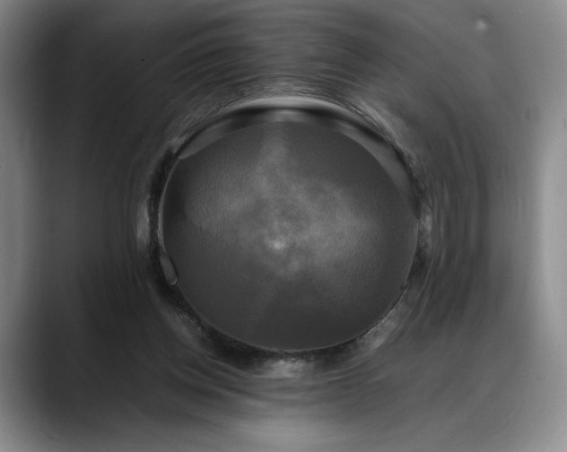 X0000088480158200705291634